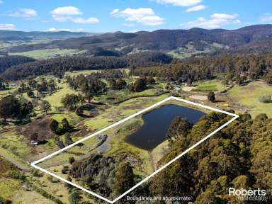 Farm For Sale - TAS - Colebrook - 7027 - Rural Refuge  (Image 2)