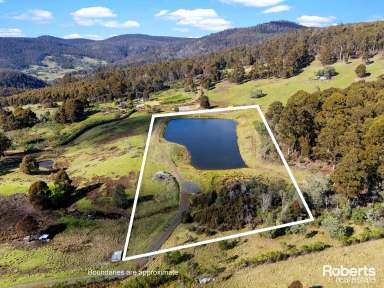 Farm For Sale - TAS - Colebrook - 7027 - Rural Refuge  (Image 2)