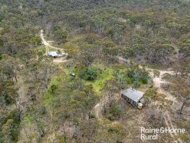 Farm Auction - NSW - Cullerin - 2581 - Private Rural Retreat  (Image 2)