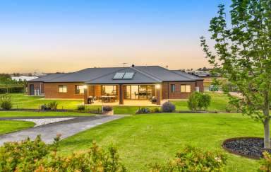 Farm For Sale - NSW - Gol Gol - 2738 - IMPECCABLE HOME, PERFECT LOCATION  (Image 2)