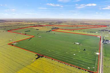 Farm Auction - NSW - Young - 2594 - Part Balmoral & Part Mayohs  (Image 2)