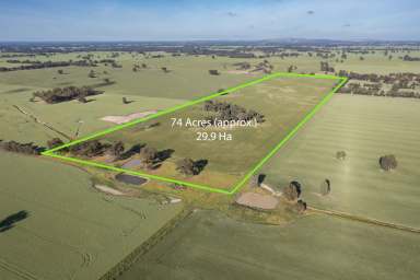 Farm For Sale - VIC - St James - 3727 - High Yielding Cropping Property For Sale  (Image 2)