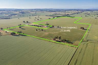 Farm For Sale - VIC - St James - 3727 - High Yielding Cropping Property For Sale  (Image 2)