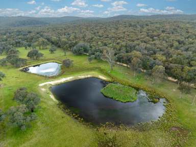 Farm Auction - NSW - Roseberg - 2793 - 'Old Woman's Creek' A Versatile Grazing/Rural Lifestyle Opportunity  (Image 2)