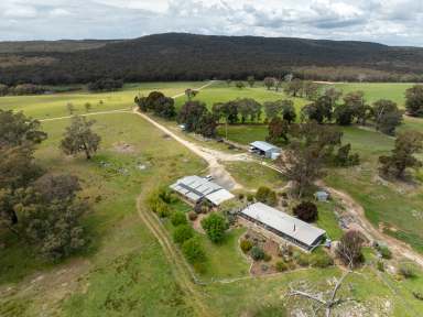 Farm Auction - NSW - Roseberg - 2793 - 'Old Woman's Creek' A Versatile Grazing/Rural Lifestyle Opportunity  (Image 2)