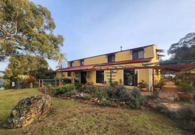 Farm For Sale - NSW - Coonabarabran - 2357 - Commanding Views of the Mountains and the Town  (Image 2)