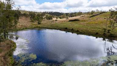 Farm For Sale - QLD - Anduramba - 4355 - PRODUCTIVE BEEF CATTLE BREEDING OPERATION  (Image 2)