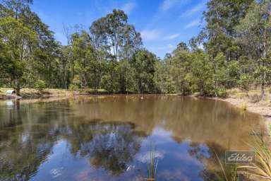 Farm For Sale - QLD - Glenwood - 4570 - YOU WILL FEEL LIKE YOU'RE AT A PRIVATE RESORT!  (Image 2)