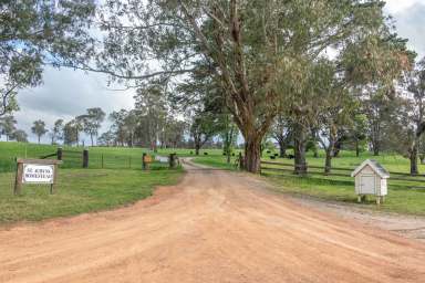 Farm For Sale - NSW - Walcha - 2354 - 'St Aubyns Station'  Blue Ribbon Walcha Holding  (Image 2)