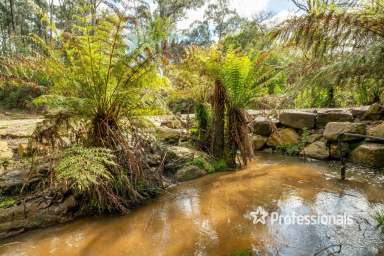 Farm For Sale - VIC - Gladysdale - 3797 - CLASSIC COUNTRY CHARM...1 ACRE APPROX  (Image 2)