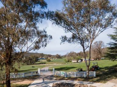 Farm For Sale - NSW - Hamilton Valley - 2641 - Equine Paradise Just a Short Ride to Town  (Image 2)