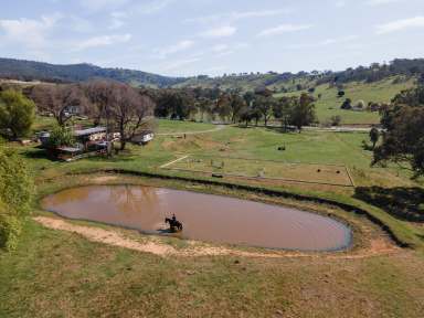 Farm For Sale - NSW - Hamilton Valley - 2641 - Equine Paradise Just a Short Ride to Town  (Image 2)