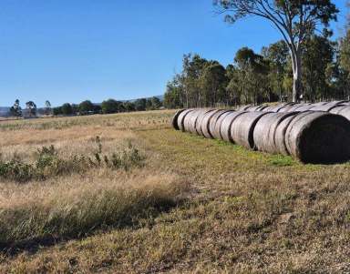 Farm For Sale - QLD - Wheatlands - 4606 - 160 ACRES - POTENTIAL LIFESTYLE CHANGE - GRAZING - AGRICULTURE  (Image 2)