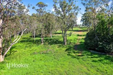 Farm For Sale - NSW - Narooma - 2546 - 5 ACRES OF PEACE AND TRANQUILITY  (Image 2)