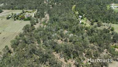 Farm For Sale - QLD - Euleilah - 4674 - Serene Bush Block at Lot 14 Cross Road EULEILAH  (Image 2)