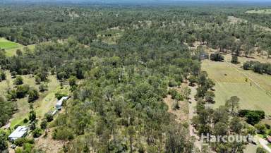 Farm For Sale - QLD - Euleilah - 4674 - Serene Bush Block at Lot 14 Cross Road EULEILAH  (Image 2)