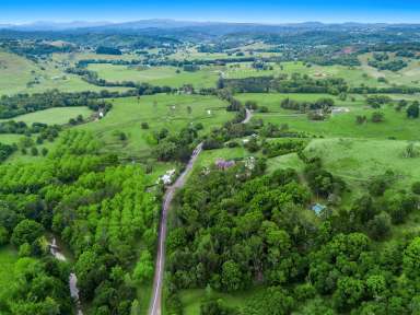 Farm For Sale - NSW - Bexhill - 2480 - Castle on the Hill  (Image 2)