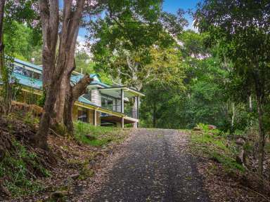 Farm For Sale - NSW - Bexhill - 2480 - Castle on the Hill  (Image 2)