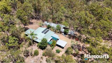 Farm For Sale - QLD - Delan - 4671 - LARGE BRICK HOME ON 15 ACRES!  (Image 2)