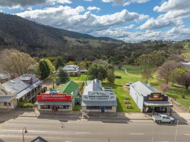 Farm For Sale - VIC - Omeo - 3898 - Desirable Location on Day Avenue  (Image 2)