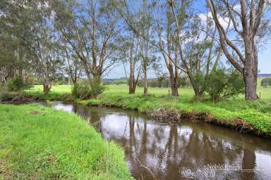 Farm For Sale - VIC - Murrindindi - 3717 - "Sunnyside" Idyllic Retreat on the Murrindindi River  (Image 2)