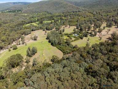 Farm For Sale - VIC - Whanregarwen - 3714 - Rural Lifestyle and Farming Opportunity!  (Image 2)