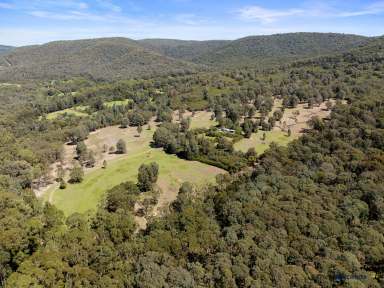 Farm For Sale - VIC - Whanregarwen - 3714 - Rural Lifestyle and Farming Opportunity!  (Image 2)