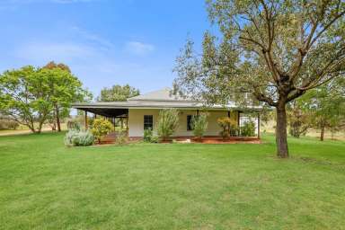 Farm For Sale - NSW - Tambar Springs - 2381 - 'Lonsdale' - Tambar Springs $2,670,000 neg.  (Image 2)