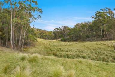 Farm For Sale - NSW - Goulburn - 2580 - JUST ENJOY  (Image 2)