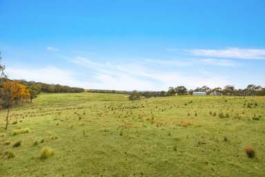 Farm For Sale - NSW - Goulburn - 2580 - JUST ENJOY  (Image 2)