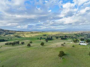 Farm For Sale - NSW - Aberdeen - 2336 - Secret Rural Living With Stunning Views  (Image 2)