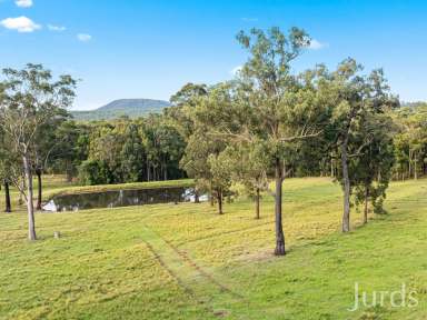 Farm For Sale - NSW - Elrington - 2325 - Arbourvale - Hunter Valley Grazing & Lifestyle - 210 acres  (Image 2)