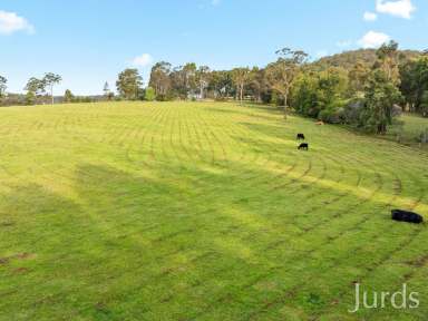 Farm For Sale - NSW - Elrington - 2325 - Arbourvale - Hunter Valley Grazing & Lifestyle - 210 acres  (Image 2)