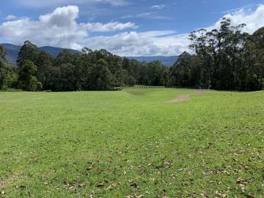 Farm For Sale - NSW - Kangaroo Valley - 2577 - 7 Acres With Building Entitlement Power Water  (Image 2)