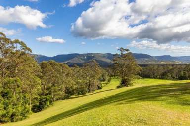 Farm For Sale - NSW - Kangaroo Valley - 2577 - RARE 6 ACRES VACANT LAND FOR SALE KANGAROO VALLEY  (Image 2)