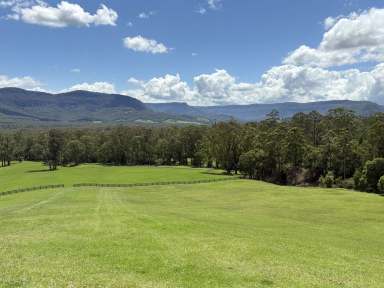 Farm For Sale - NSW - Kangaroo Valley - 2577 - Blank Canvas Small Vacant Lot KANGAROO VALLEY  (Image 2)