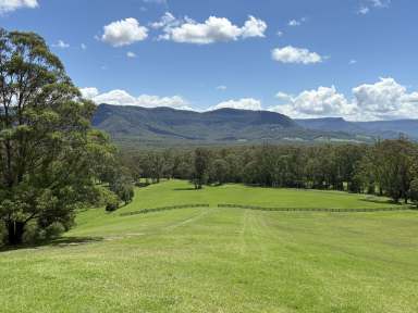 Farm For Sale - NSW - Kangaroo Valley - 2577 - Blank Canvas Small Vacant Lot KANGAROO VALLEY  (Image 2)