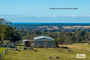 Farm For Sale - NSW - Moruya - 2537 - Rare Opportunity Minutes from Moruya CBD  (Image 2)