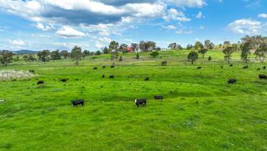 Farm Auction - NSW - Werris Creek - 2341 - PROPERTY MUST BE SOLD - PRICE GUIDE $450,000  (Image 2)