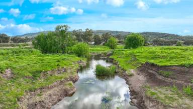 Farm Auction - NSW - Werris Creek - 2341 - PROPERTY MUST BE SOLD - PRICE GUIDE $450,000  (Image 2)