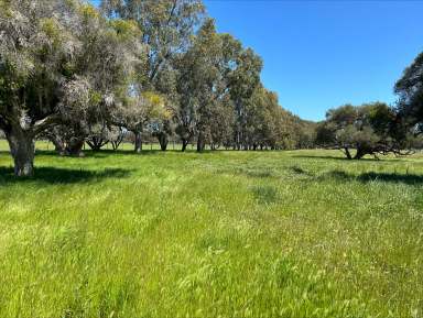 Farm For Sale - WA - West Coolup - 6214 - 'NORM'S' - 127 Richter Road, West Coolup  (Image 2)