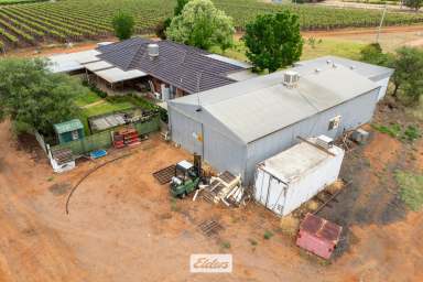 Farm Auction - VIC - Red Cliffs - 3496 - "Acting under the instructions from Mortgagees in Possession"
Substantial Table grape holding with potential and scale.  (Image 2)