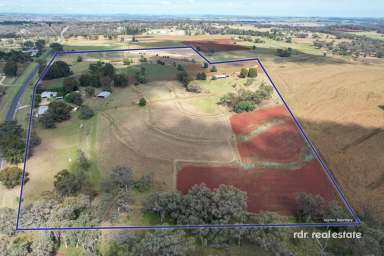 Farm For Sale - NSW - Inverell - 2360 - "TWIN PINES" - COUNTRY LIVING AWAITS  (Image 2)