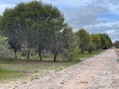 Farm For Sale - WA - Beaufort River - 6394 - Martup Downs, Beaufort River  (Image 2)