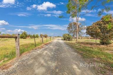 Farm For Sale - VIC - Tongala - 3621 - Discover Your Dream Country Retreat: 99 Acres of Serenity and Modern Comfort Await!  (Image 2)