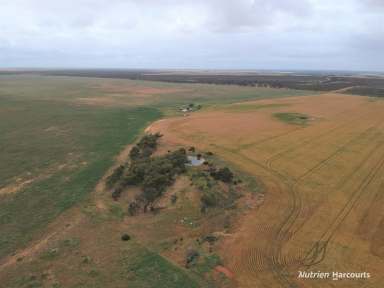 Farm For Sale - WA - West Binnu - 6532 - 'Colindale', West Binnu - 821ha, 740ha arable  (Image 2)