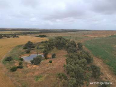 Farm For Sale - WA - West Binnu - 6532 - 'Colindale', West Binnu - 821ha, 740ha arable  (Image 2)