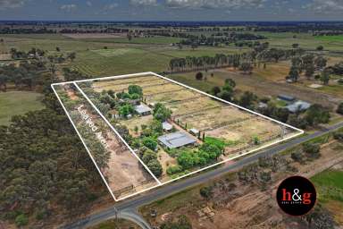 Farm For Sale - VIC - Cooma - 3616 - Equine Deluxe  (Image 2)