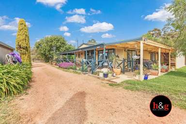 Farm For Sale - VIC - Cooma - 3616 - Equine Deluxe  (Image 2)