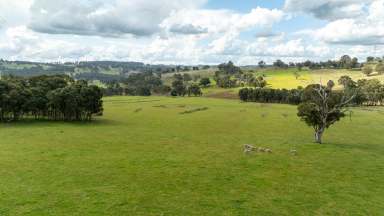 Farm Auction - NSW - Baldersleigh - 2365 - "Amalinda" - A Well Developed Grazing Proposition  (Image 2)